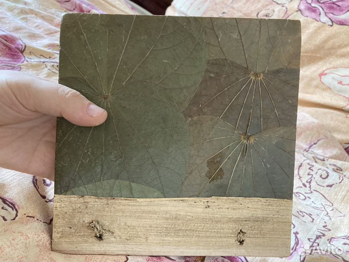 Эко фотоальбом из Болгарии