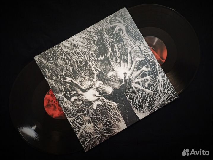 Виниловые Пластинки The ruins of beverast