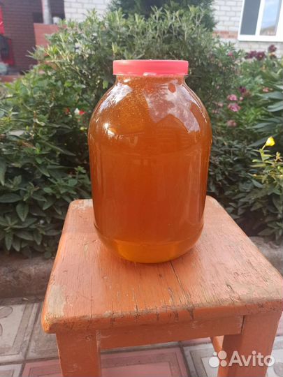 Продажа мёда 2023