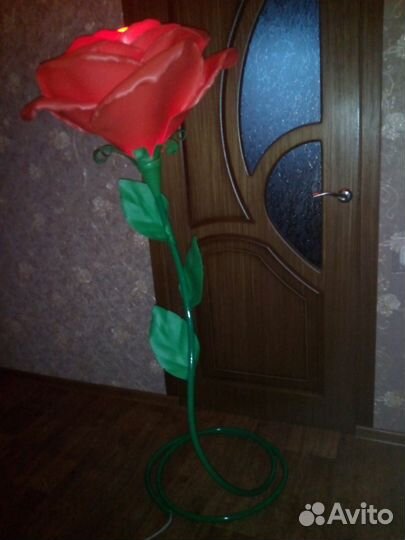 Ростовая роза ночник