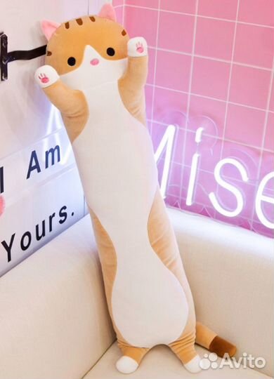 Зачем кота растянули Что за прикол