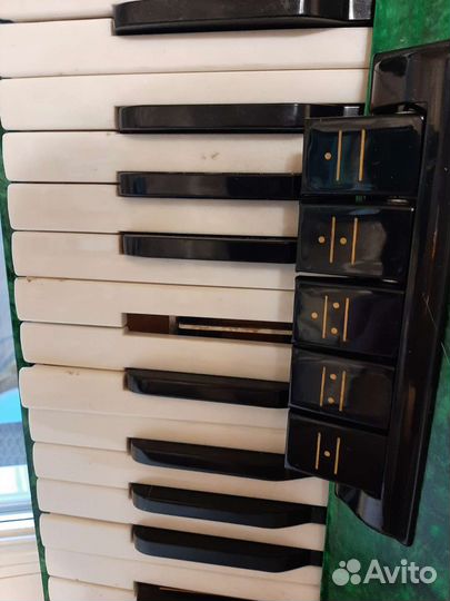 Аккордеон Сюита