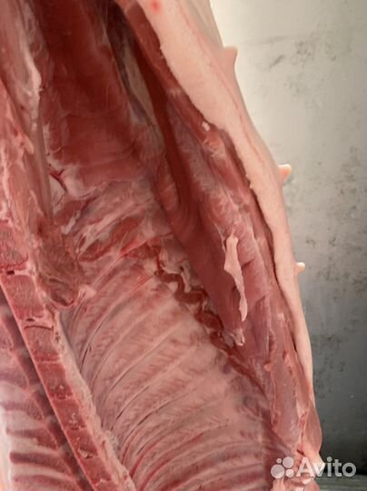 Молодая свинина без сала V.I.P (выборка)