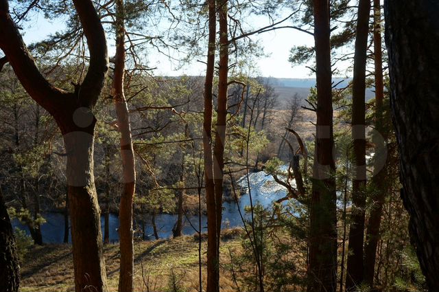 Участок 1,85 га (ИЖС)