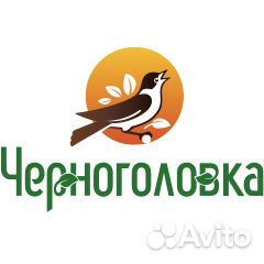 Визитный мерчендайзер