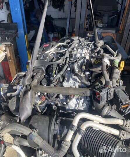 Land Rover, Jaguar pt204 2021г.в