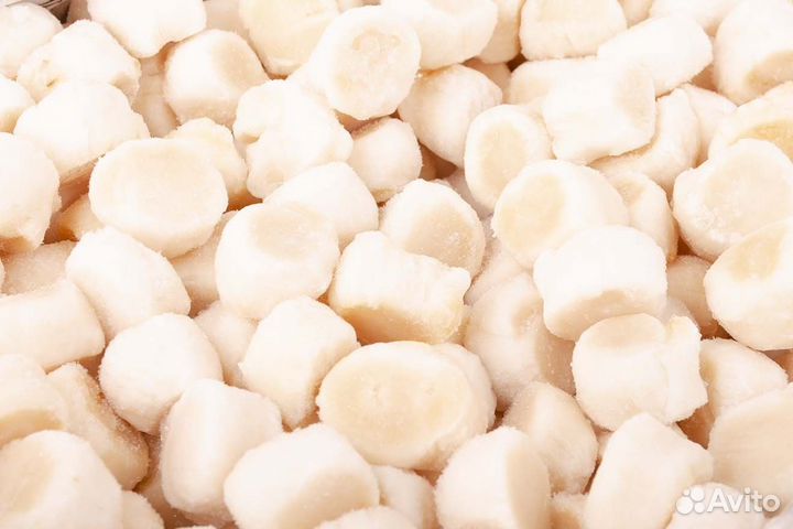 Филе морского гребешка Курилы свежемороженное