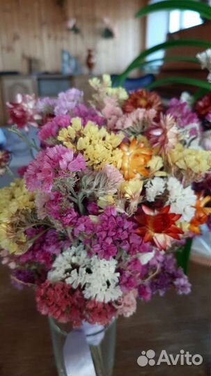 Букет цветы статица