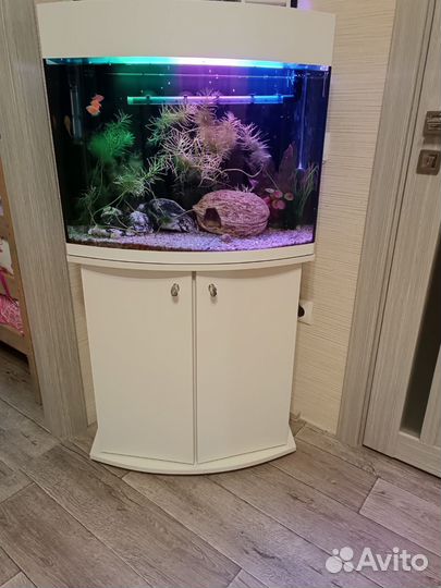 Аквариум с тумбой и внешним фильтром