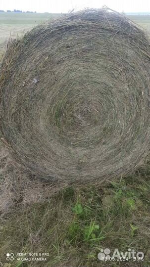 Продам сено