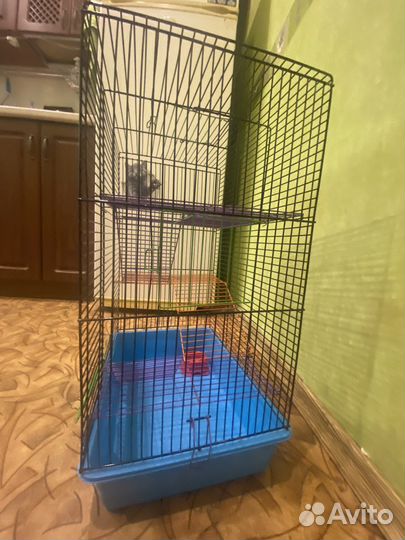 Большая летка для грызунов