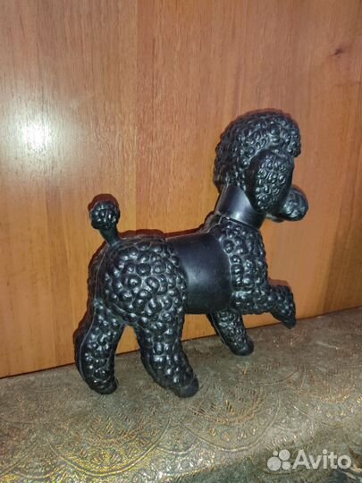 Черный пудель