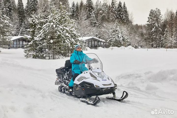 Снегоход stels ставр MS 700 WT 4T