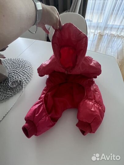 Комбинезон для собак