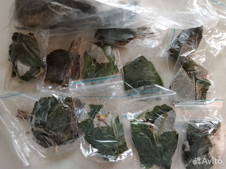 Корм для палочника, малина лист замороженный