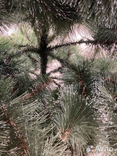 Исскуственная елка