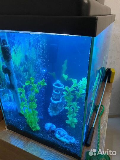 Аквариум 70л