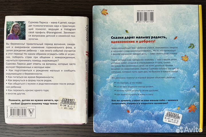 Книги Ларисы Сурковой