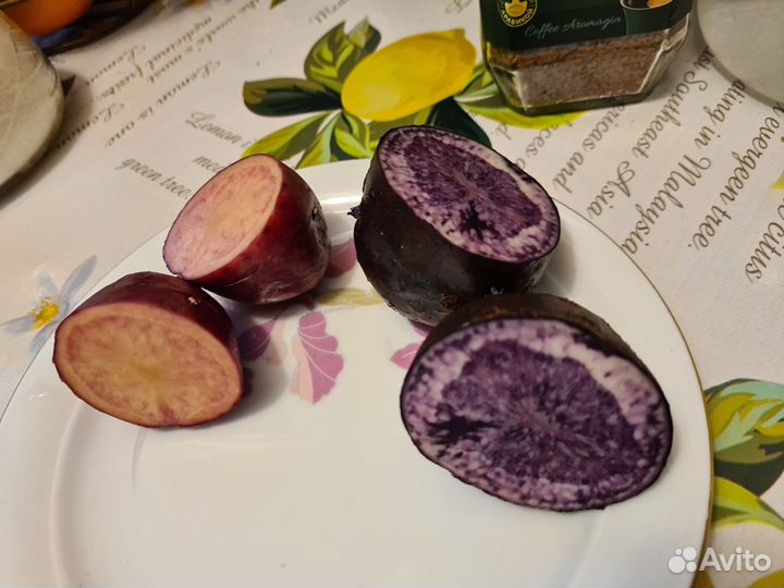 Семена картошки