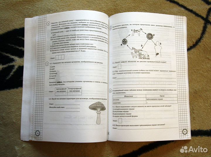 Впр Биология 7 класс