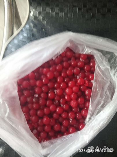 Калина ягода