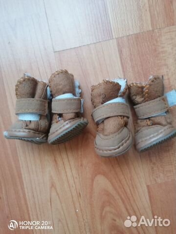 Зимняя обувь для собак