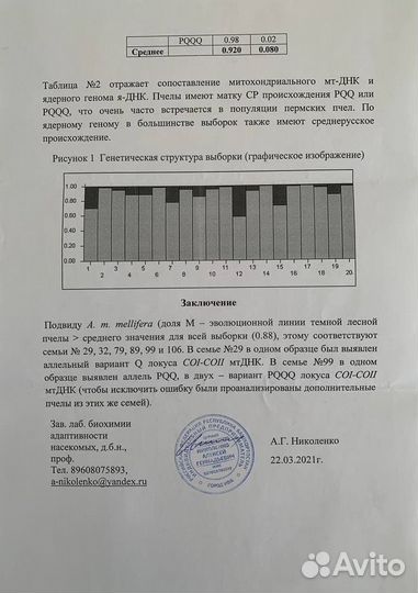 Пчелосемьи, пчелопакеты