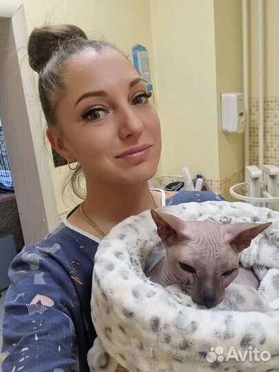 Ветеринарный врач онлайн консультации