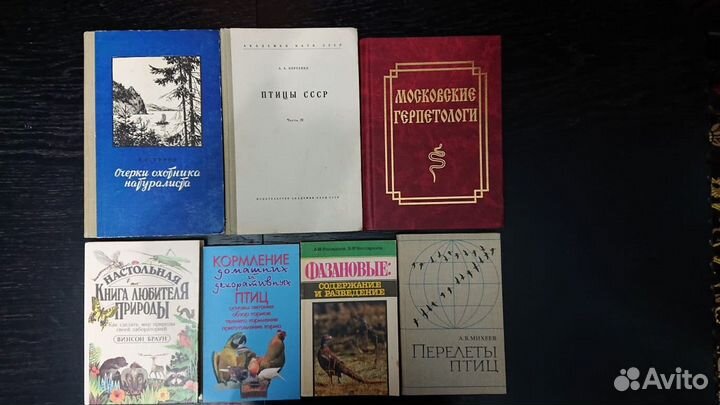Птицы России. Книги по орнитологии