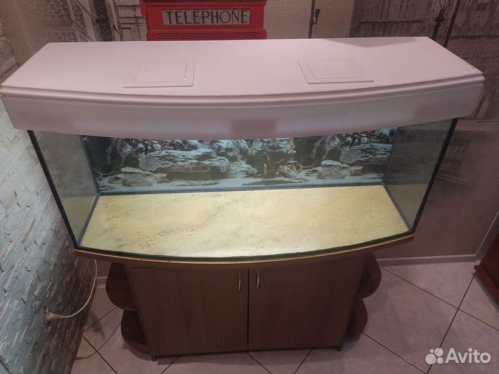 Панорамный аквариум 200 литров