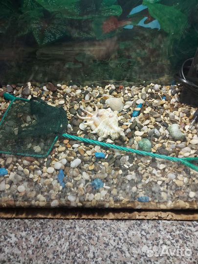 Аквариум 30л