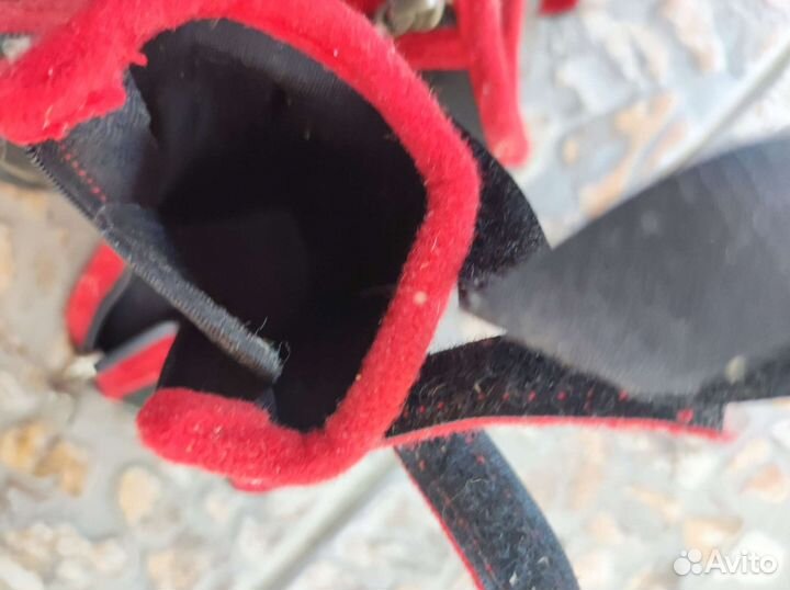 Ботинки для, собак