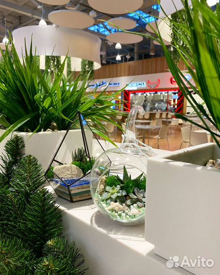 Цветы/Подарки/Флорариумы