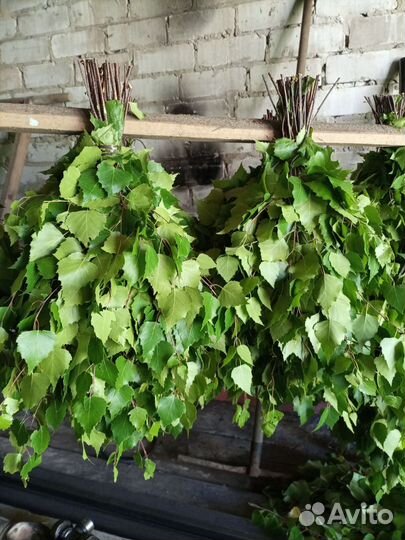 Веники берёзовые готовим в деревне