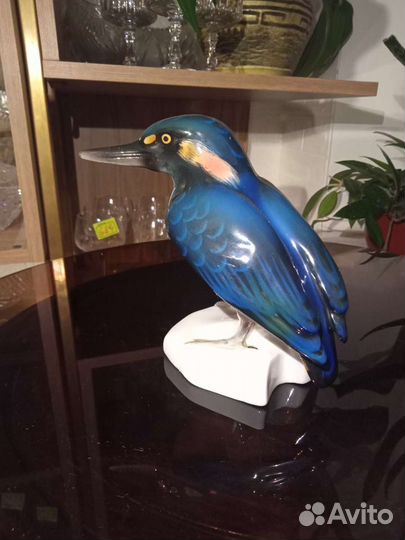 Птица Зимородок