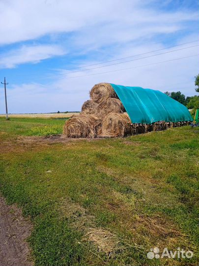Сено в рулонах