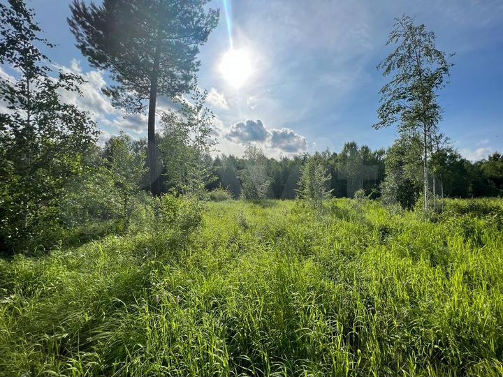 Участок 14,2 сот. (СНТ, ДНП)