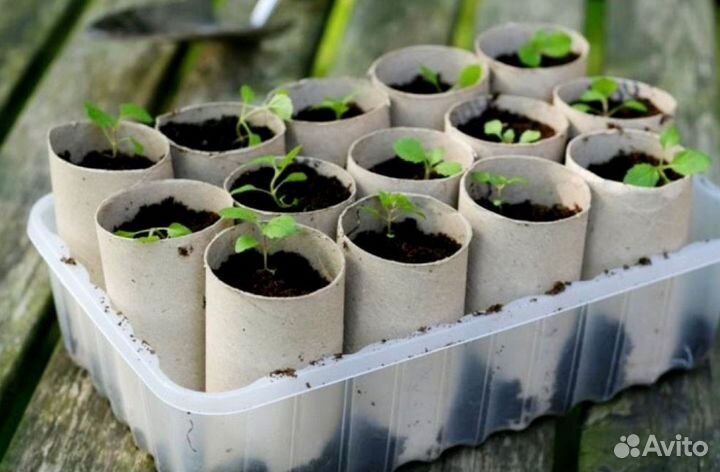 Картонные втулки для рассады для творчества