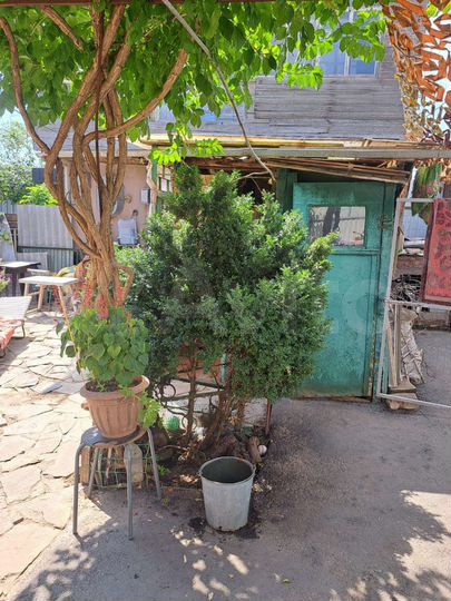 Дом 55 м² на участке 1,5 сот.