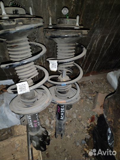 Стойки передние Тойота Ипсум Tems