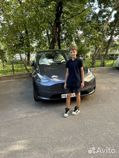 Выгул собак