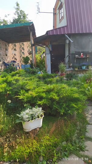 Дача 30 м² на участке 6 сот.