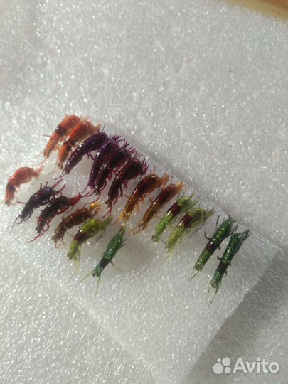 Мормышки Бокоплав