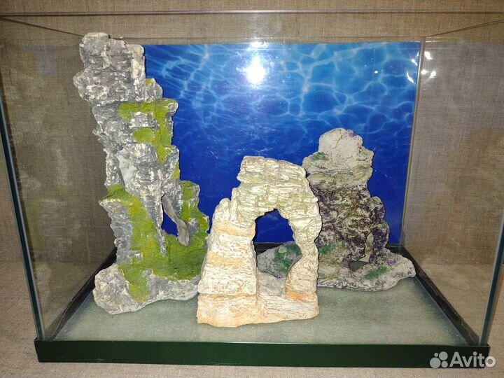 Кораллы, растения, гроты, коряги, грунт