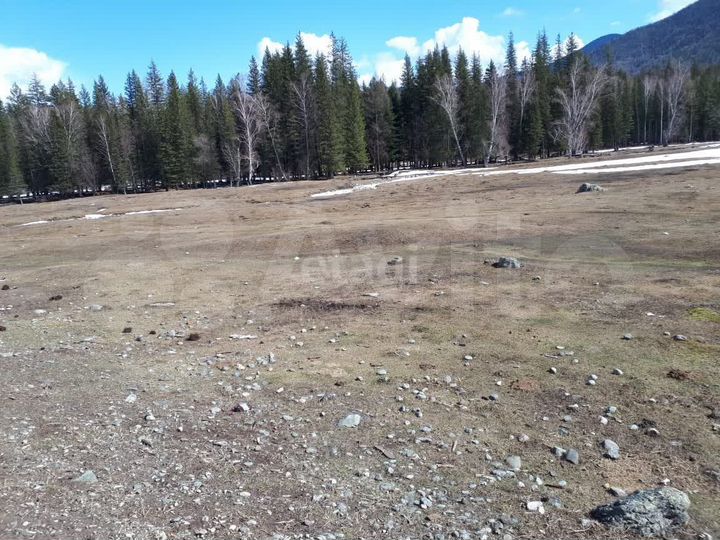 Участок 10 сот. (СНТ, ДНП)