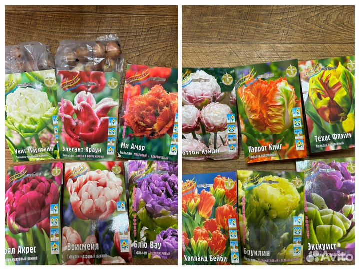 Тюльпаны,нарциссы и др луковичные