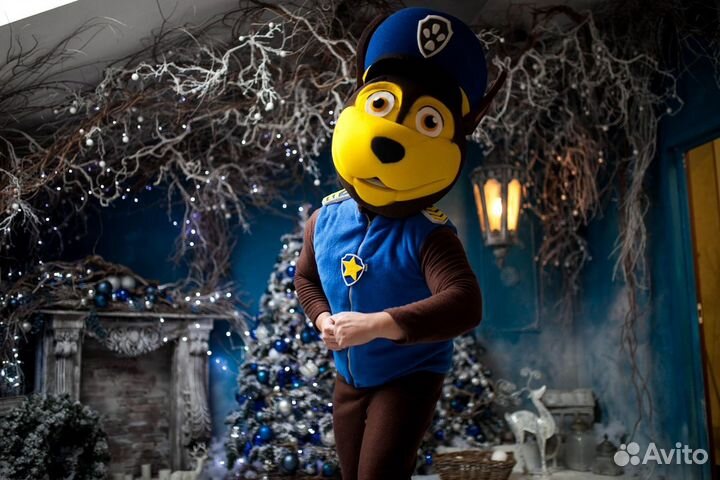 Организация детских праздников