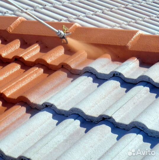 Мойка покраска крыш,фасадов,заборы