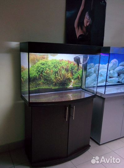 Аквариум 200 полукрулый, свет, биофильтр, фон