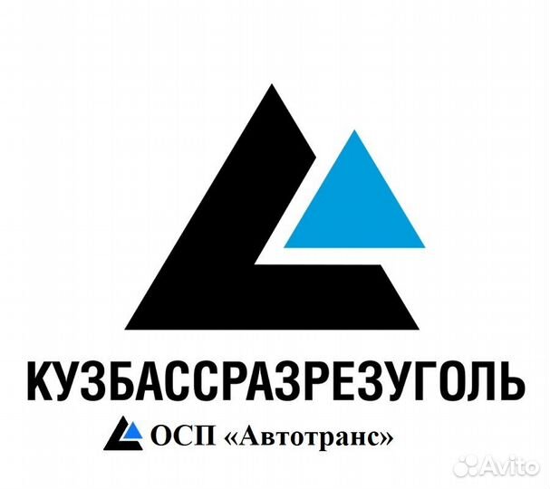 Водитель с допог